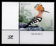 Vögel. Wiedehopf. 1W. Eckrand (3). Estland 2021
