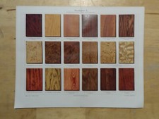 Genuine(1908) Chromolithograph