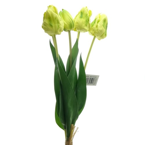 Gasper papagei tulpen gelb - gasper, im