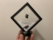 Echt Dent Sehr Schönes Stück