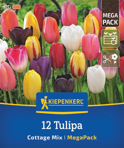 Kiepenkerl mega pack einfache - mega-pack,