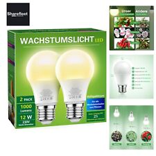 Briignite Die Glühbirne