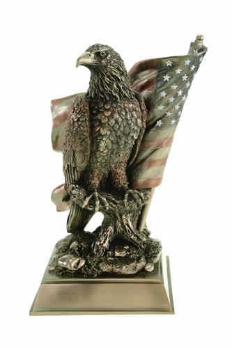 Weißkopfseeadler mit - , us