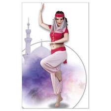 Orientalisches damen kostüm - kostüm, /
