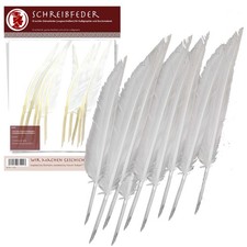 Schreibfedern penna scriptoria