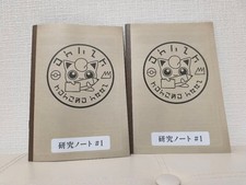 Pokepark Kanto Research Notes