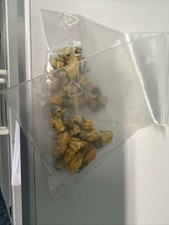 Preiser 20379 Löwen 1:87 / H0