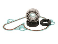 Hot Rods Wasserpumpe Reparatur