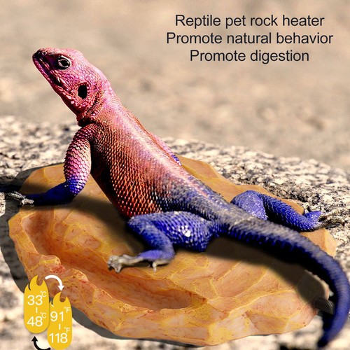 Temperaturregulierbarer
