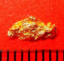 XXL GOLDNUGGET 7 mm