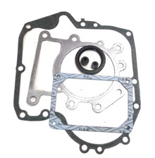 Briggs Stratton Dicht-Satz