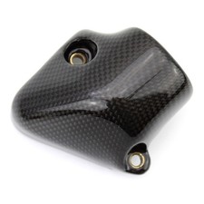 Carbon Kühlerabdeckung für