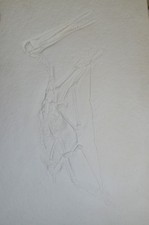 Flugsaurier, Abguss Jura