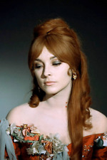 Amerikanische Schauspielerin Sharon Tate in Tanz der Vampire 1960er Film 4x6 Foto