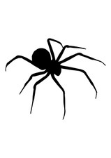 Autoaufkleber Sticker Spinne