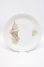 Thomas Porzellan Bunte