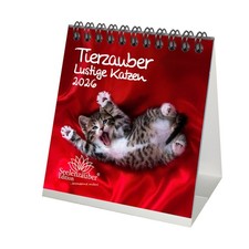 Tierzauber lustige Katzen