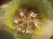 museale WMF IKORA Glas Schale