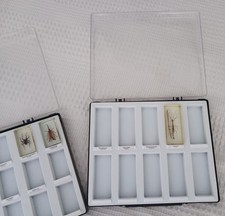 Mini Biester Präsentationskasten für Acrylblock groß (z.B. Stabinsekt)