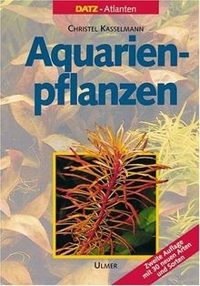 Aquarienpflanzen von