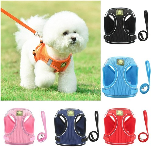 Hundegeschirr leine set - leine,