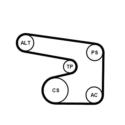 Continental ctam - continental,