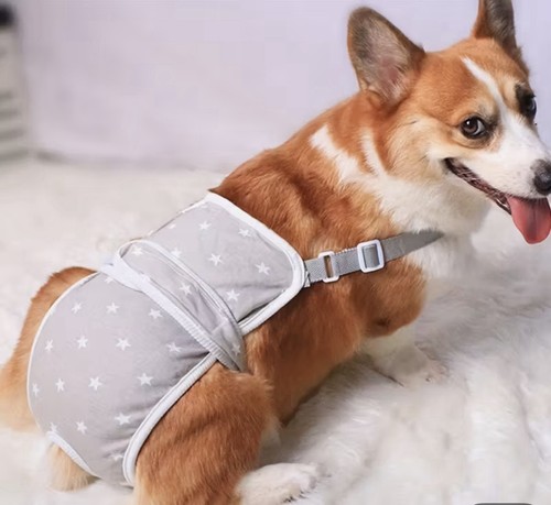 Hund unterwäsche schutzhose - hund,