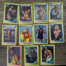 11 WWF Merlin 1992