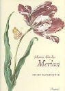 Prestel minis maria sibylla - prestel-minis:,