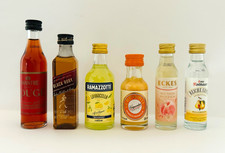 6 x Miniatur Schnapsflaschen Sammlung Spirituosen Set Minis ungeöffnet NEU