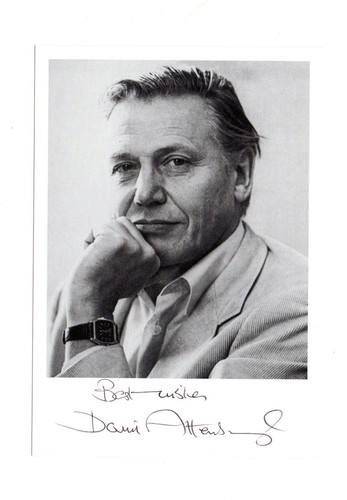 David attenborough bbc nature - attenborough,
