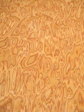 Kirsche Maser SaRaiFo