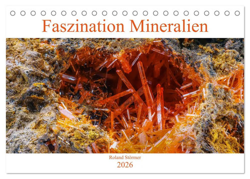 Roland störmer faszination - |,