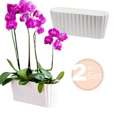 2er Set Orchideentopf Kunstoff