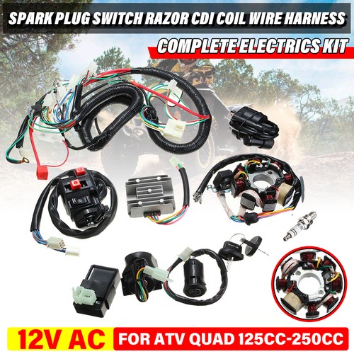 Atv quad magnetspule - atv,