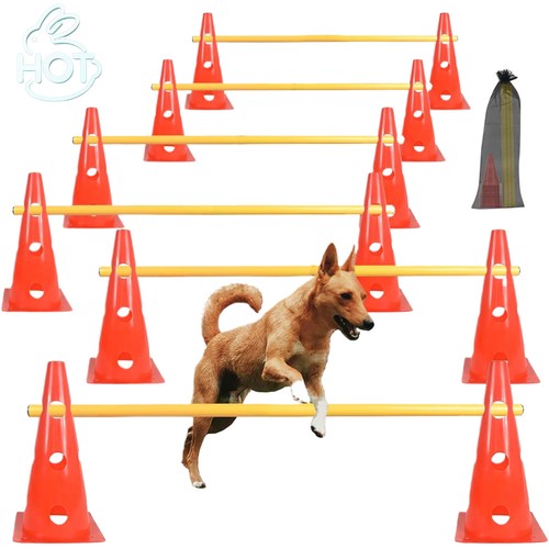 Agility trainingsset für - agility,