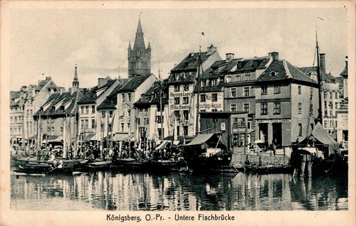 Gruss aus königsberg - ak,