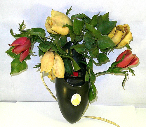 Hellum leuchtende blumen - blumen,