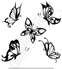 Schmetterlinge Sammlung