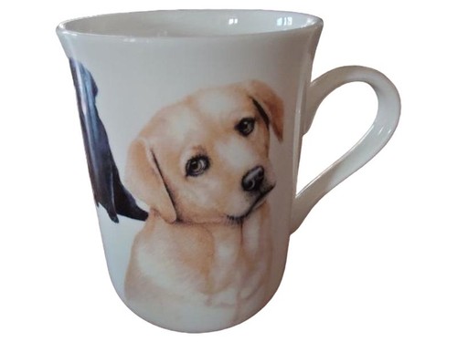 Maxwell williams pets - &,