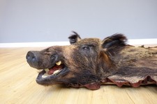 Keiler Lebenskeiler Wildschweinfell mit Kopf Jagt Jagdhütte Deko 180 x 160 cm