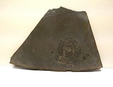Fossil Ammonit - Fundort