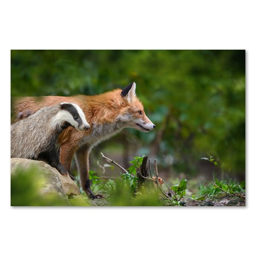 Postereck 3912 poster - 3912,