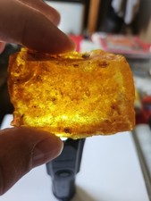 Copal Aus Kolumbien 23,02