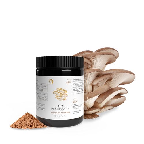 Pilze wohlrab bio - pilze,