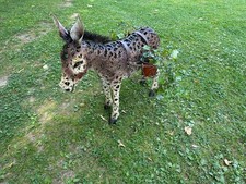 Esel Figur H 83 cm B 20/52  cm