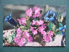 Postkarte Ansichtskarte kleinformat Kunst Blumen 1992 Briefmarke Schweiz Enzian