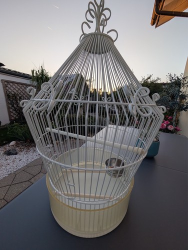 Vogelkäfig vintage weiß rund