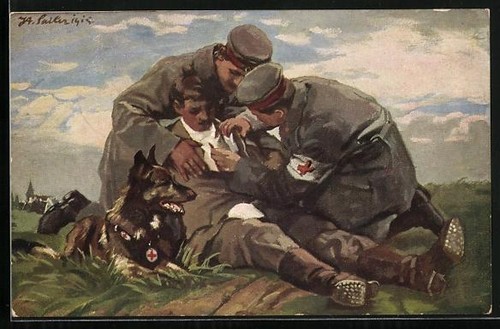 Künstler sanitätshund und - künstler-ak,