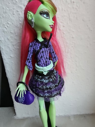 Monster high twyla wünsche - high, 13